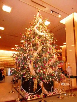 f:id:koikesan:20121214205009j:image