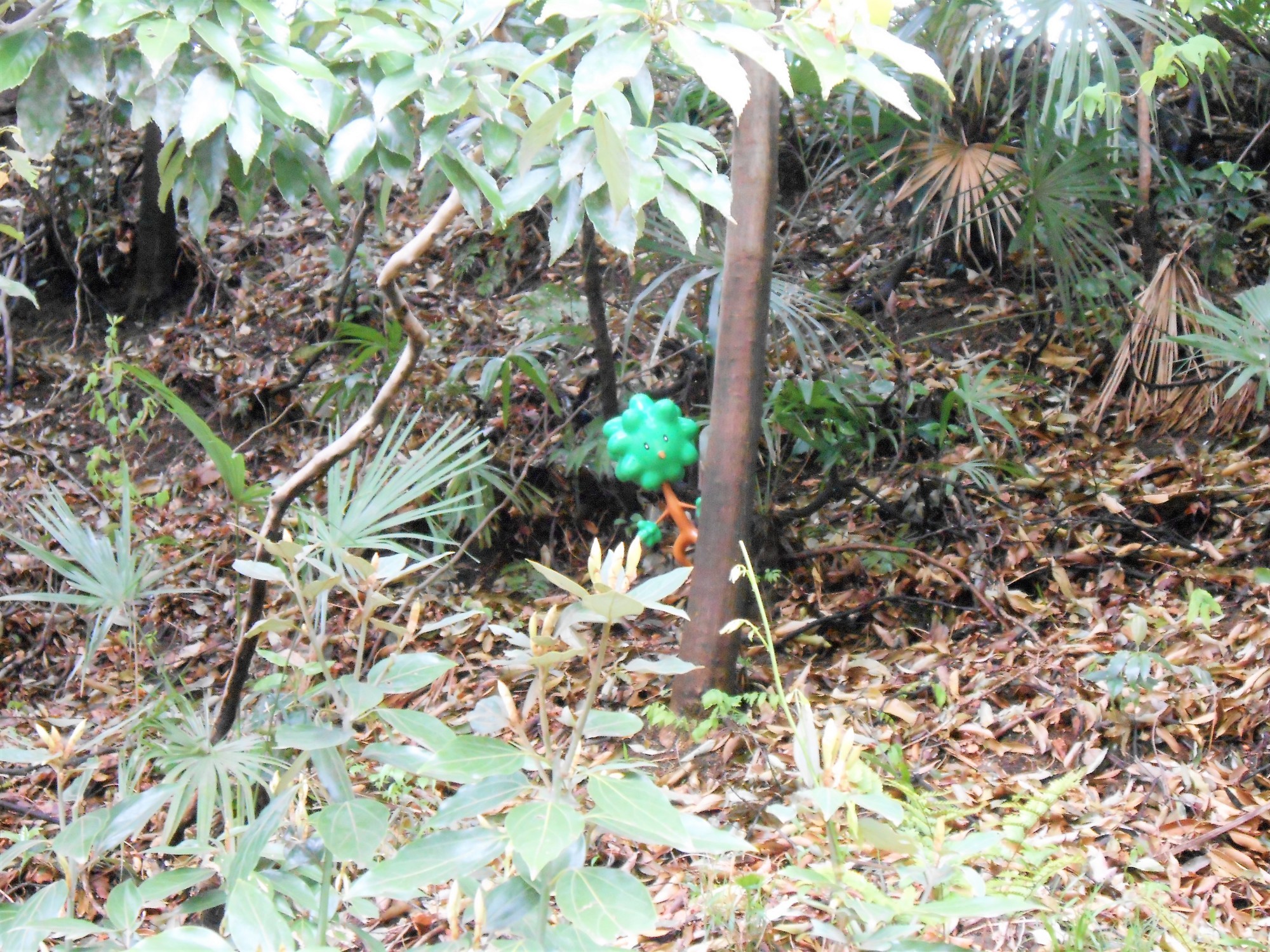 f:id:koikesan:20130421143918j:plain f:id:koikesan:20130421143918j:plain