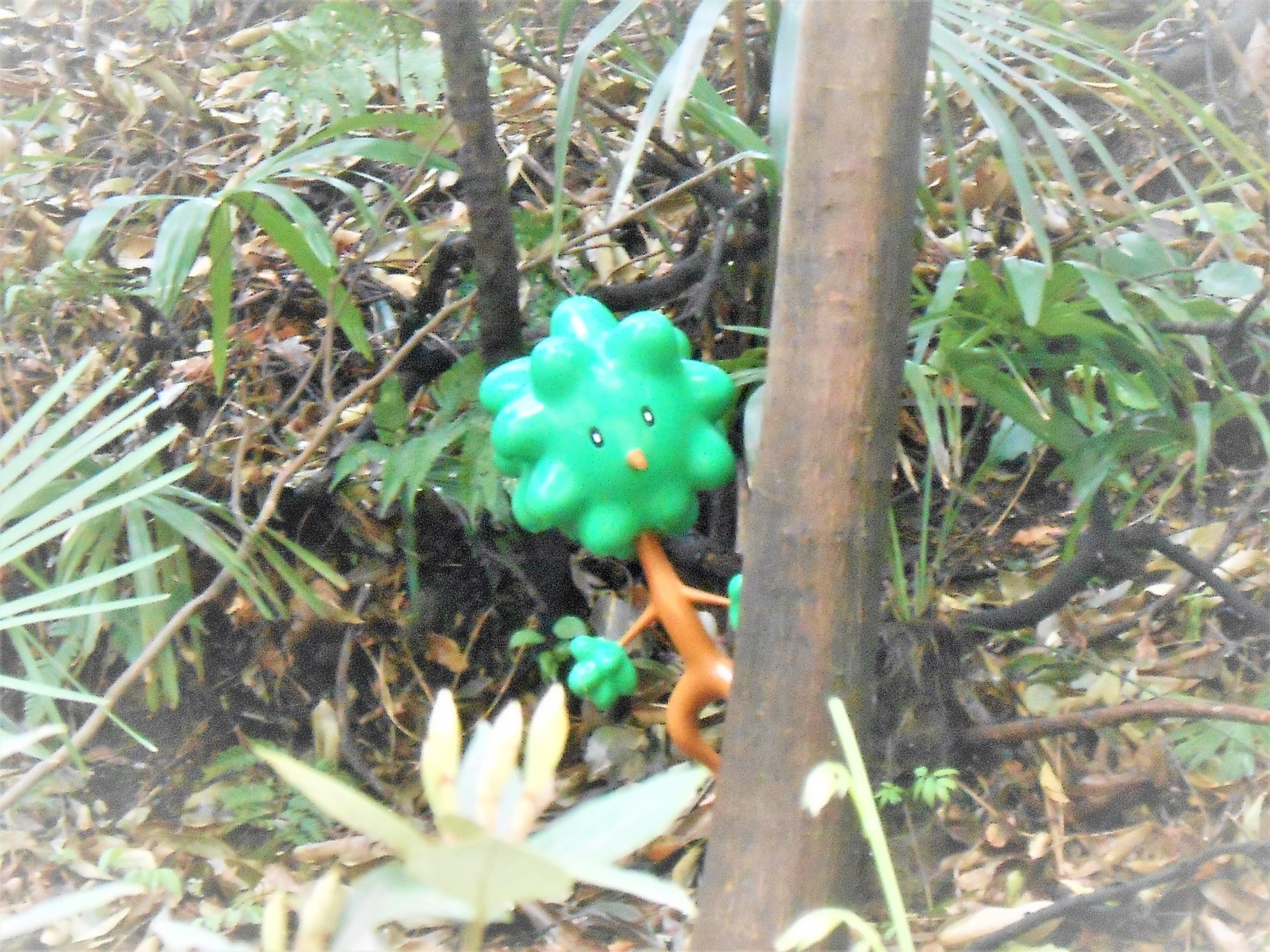 f:id:koikesan:20130421143927j:plain f:id:koikesan:20130421143927j:plain