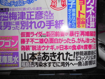 f:id:koikesan:20130804175905j:image