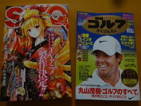 f:id:koikesan:20150105183002j:image
