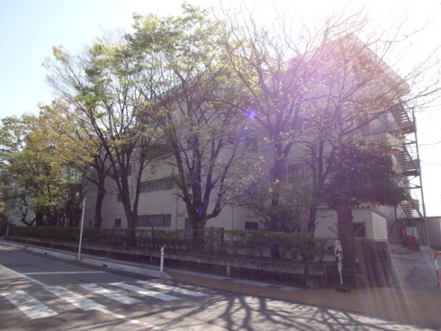 f:id:koikesan:20150426085501j:image