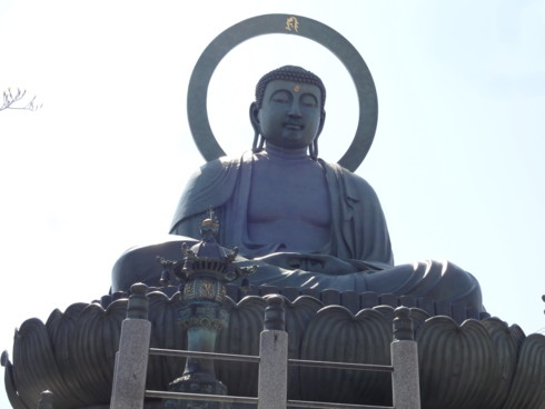 f:id:koikesan:20150426103454j:image