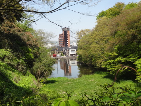 f:id:koikesan:20150426105023j:image