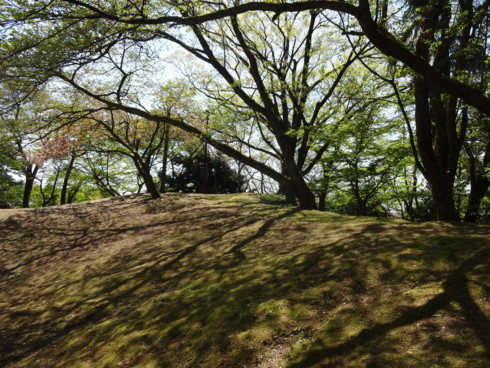 f:id:koikesan:20150426105809j:image