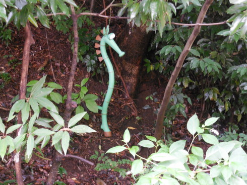 f:id:koikesan:20150705135929j:image