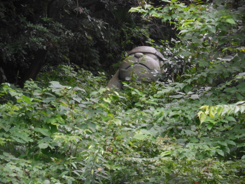 f:id:koikesan:20150705140247j:image