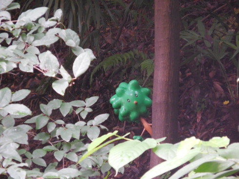 f:id:koikesan:20150705140512j:image