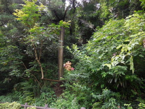 f:id:koikesan:20150705141041j:image