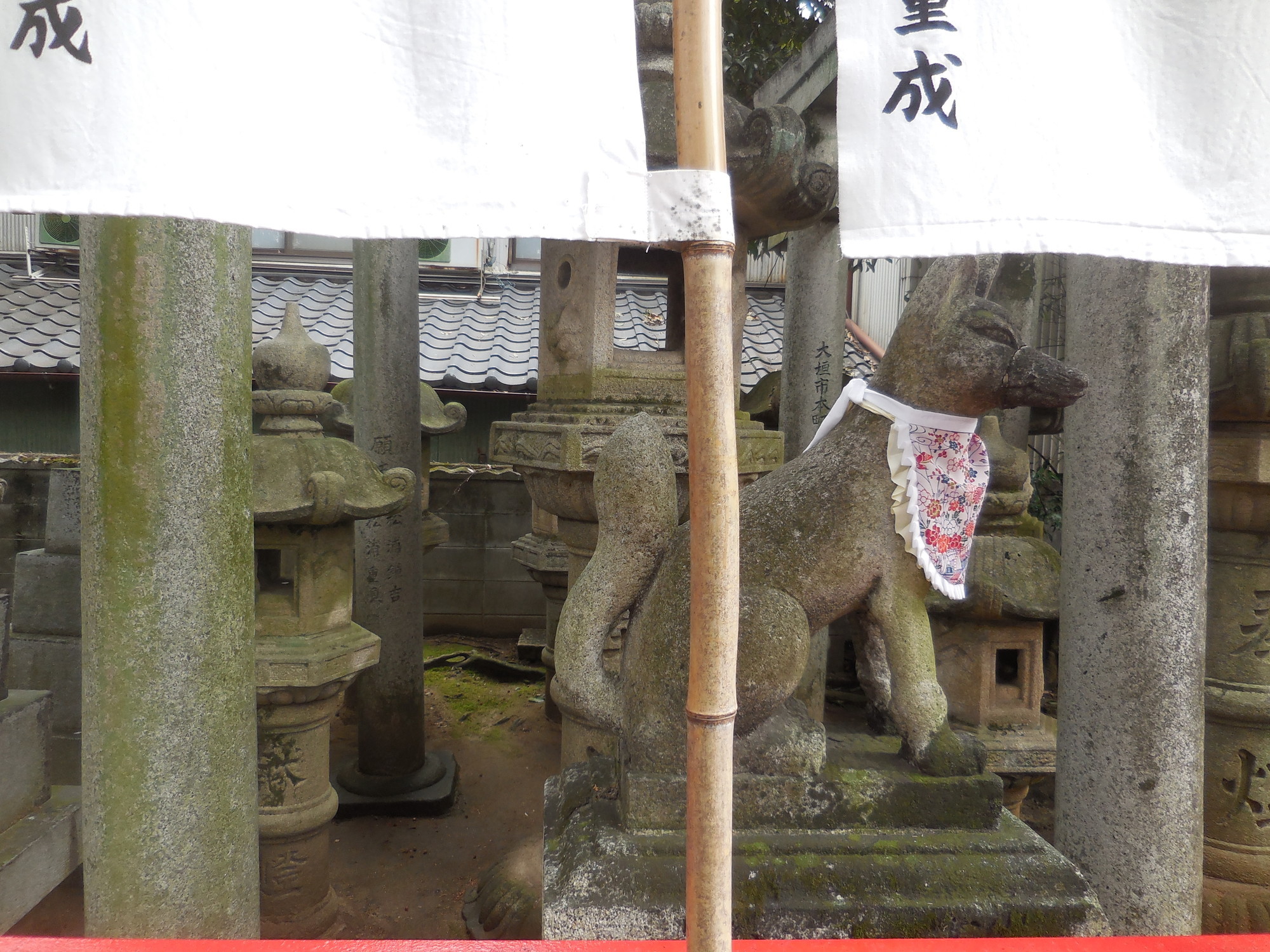 f:id:koikesan:20160307123810j:plain