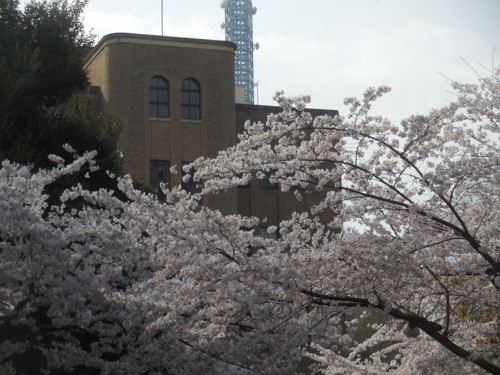 f:id:koikesan:20160402145741j:image
