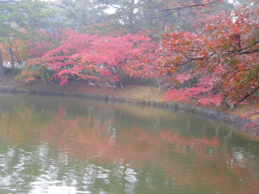 f:id:koikesan:20161121161028j:image