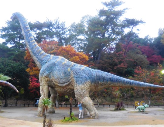 f:id:koikesan:20161121161831j:image