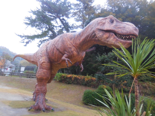 f:id:koikesan:20161121162031j:image