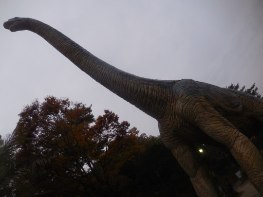 f:id:koikesan:20161121162038j:image