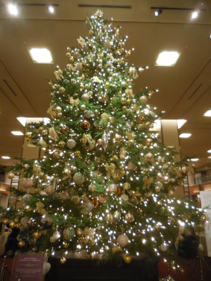 f:id:koikesan:20161212173501j:image