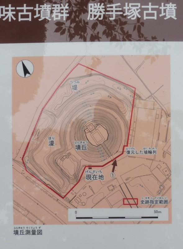 f:id:koikesan:20180526141250j:image