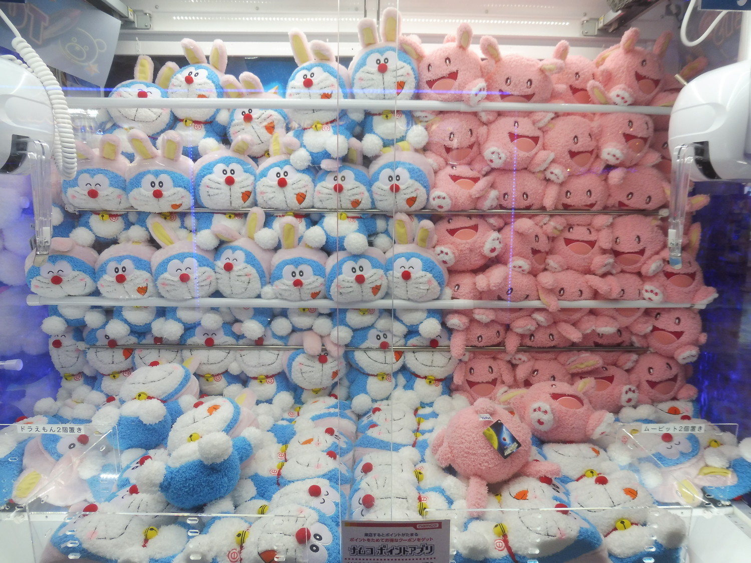 f:id:koikesan:20190301112120j:plain