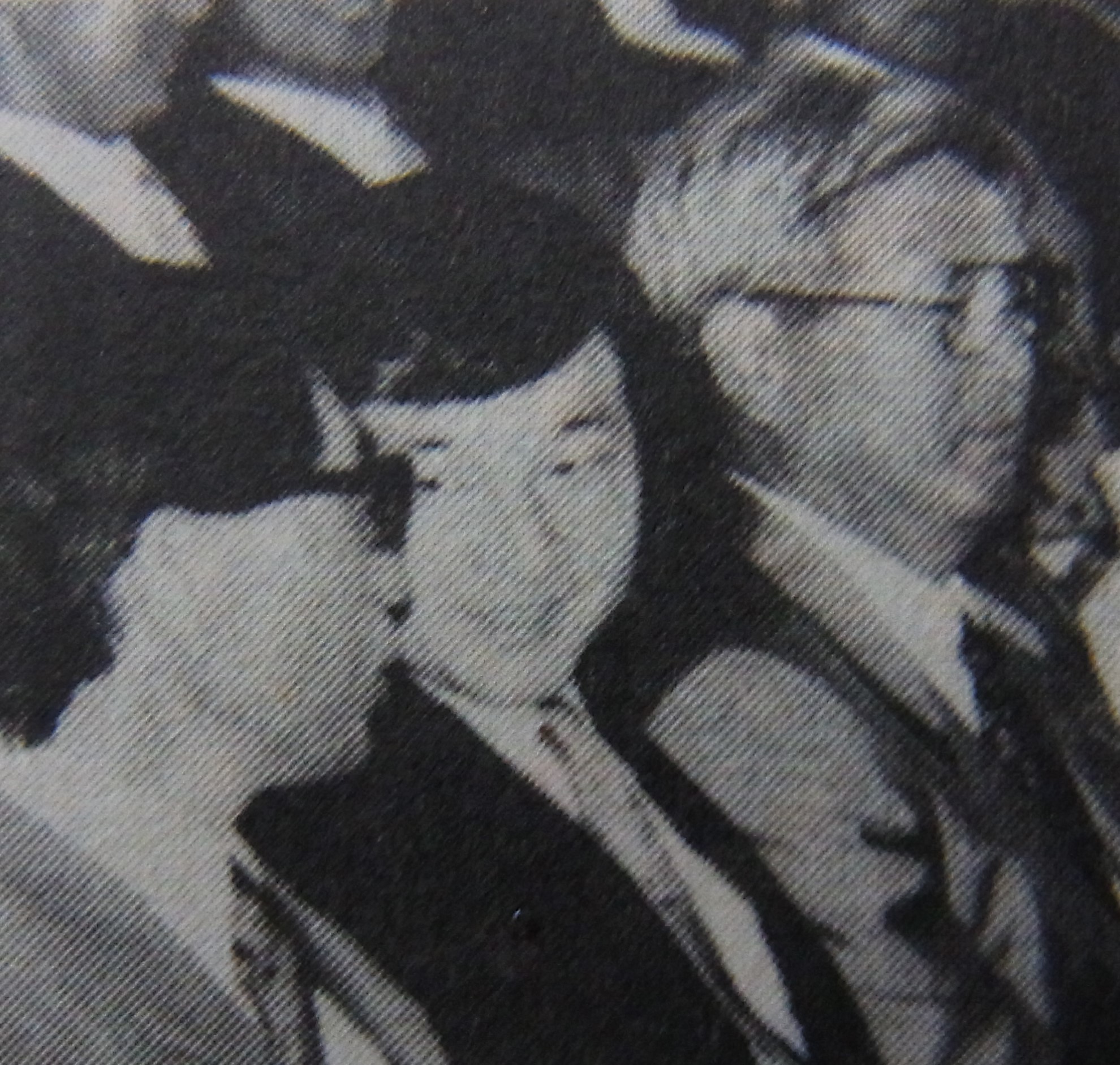 f:id:koikesan:20190502024823j:plain f:id:koikesan:20190502024823j:plain