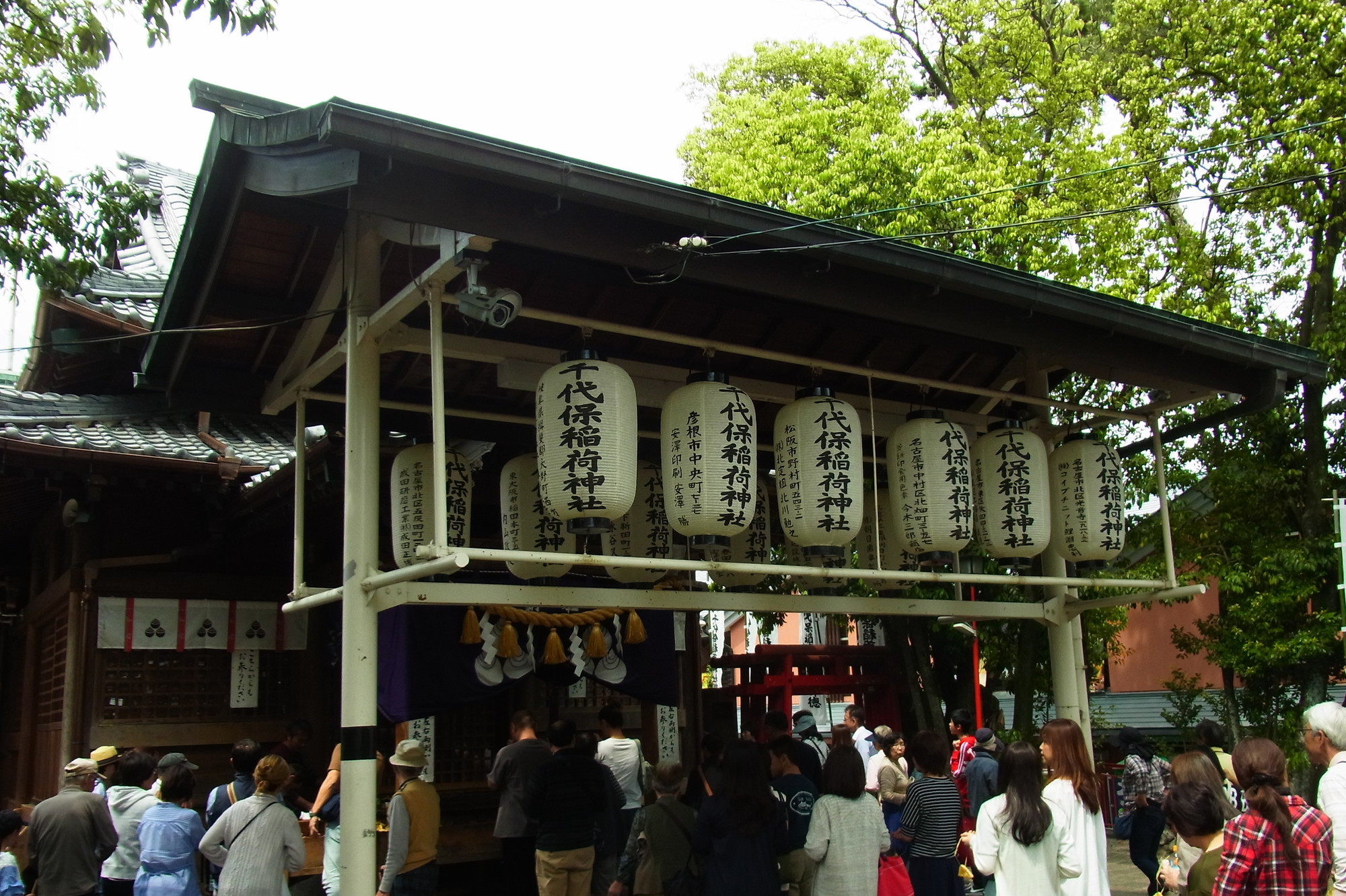 f:id:koikesan:20190503054447j:plain