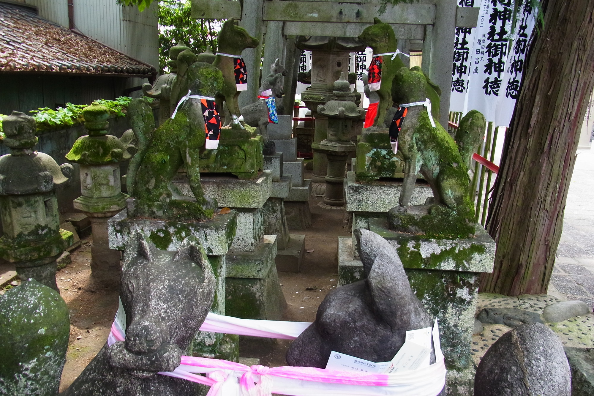 f:id:koikesan:20190503055109j:plain