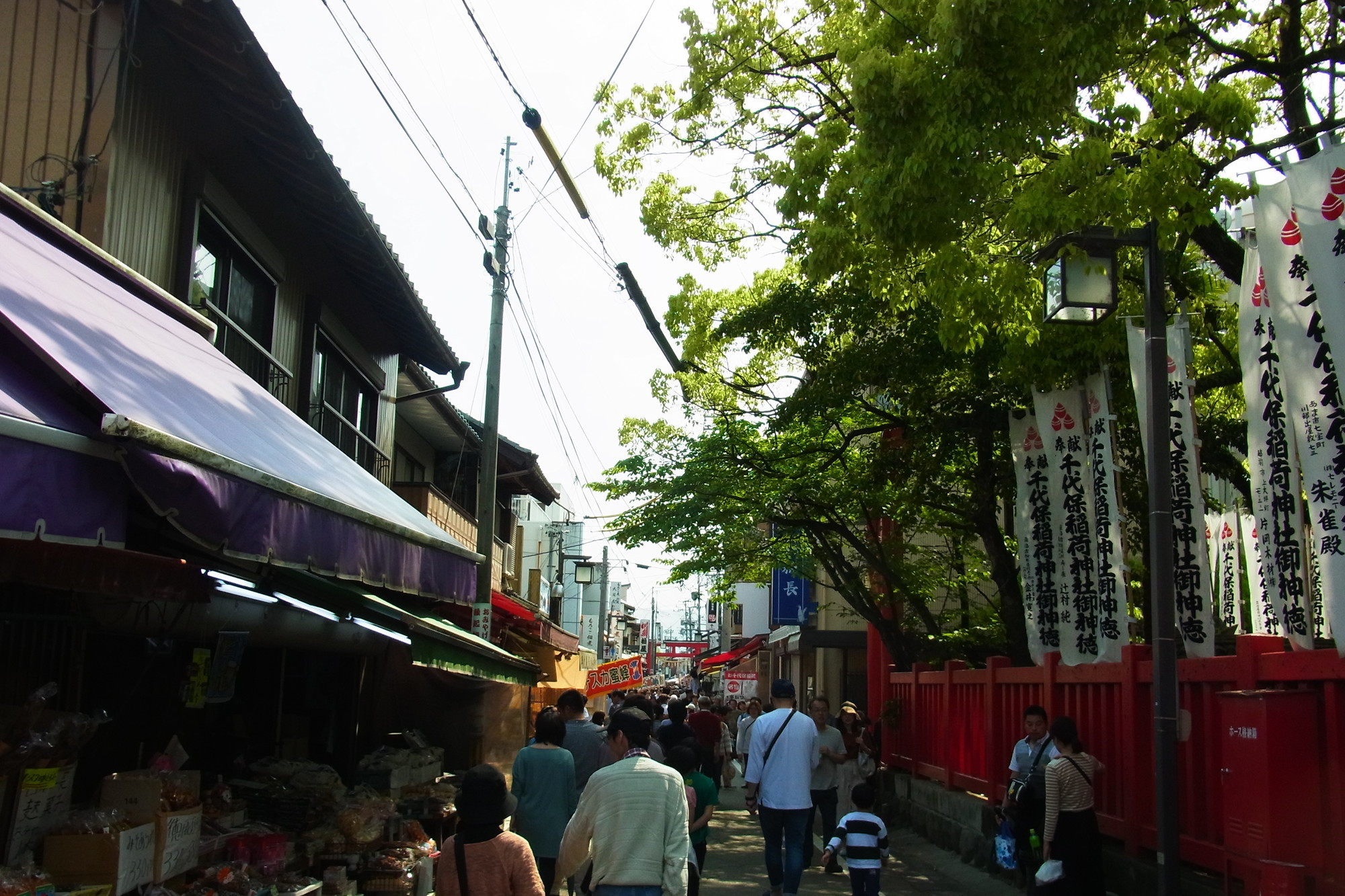 f:id:koikesan:20190503063919j:plain