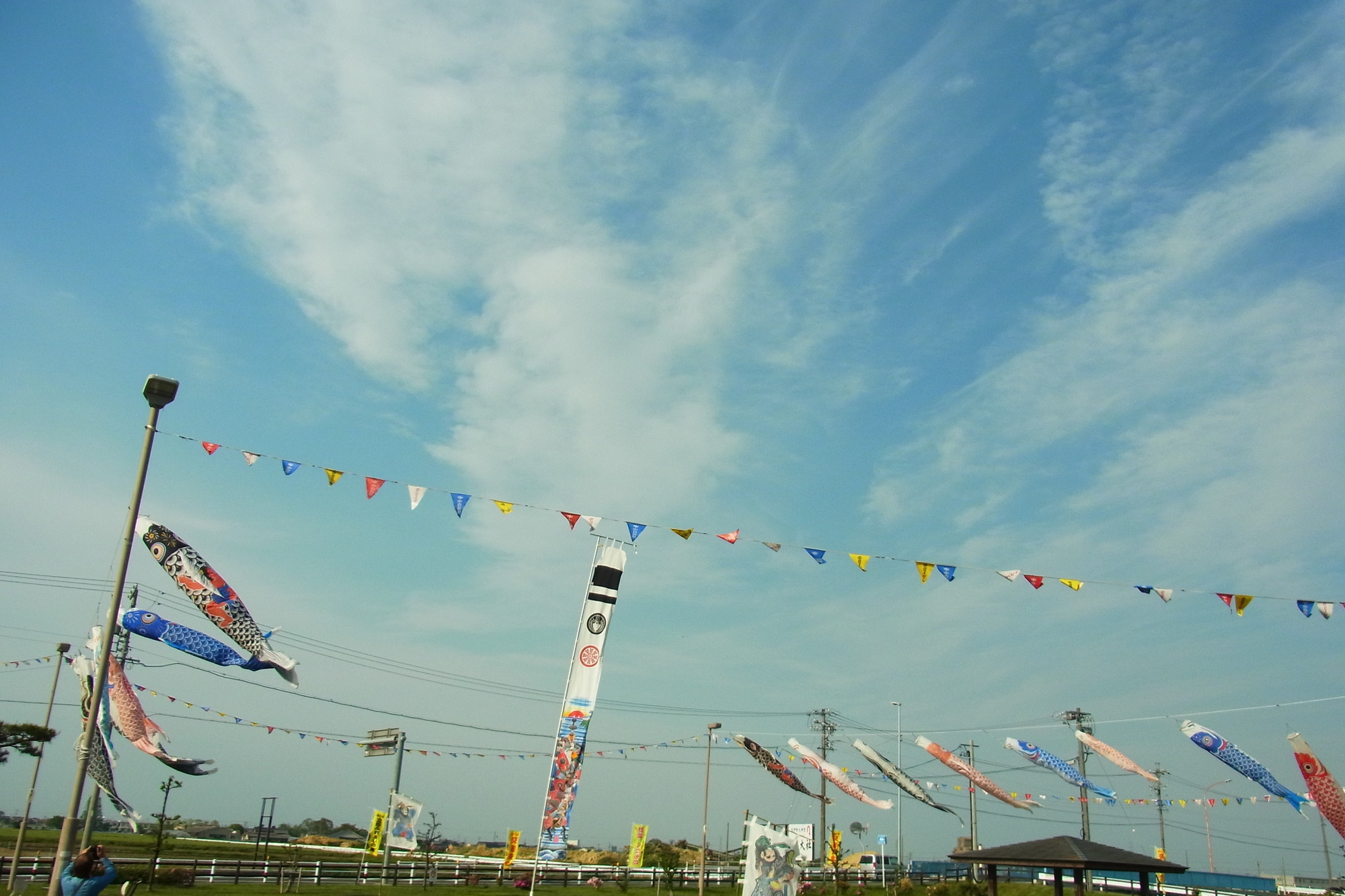 f:id:koikesan:20190503082123j:image