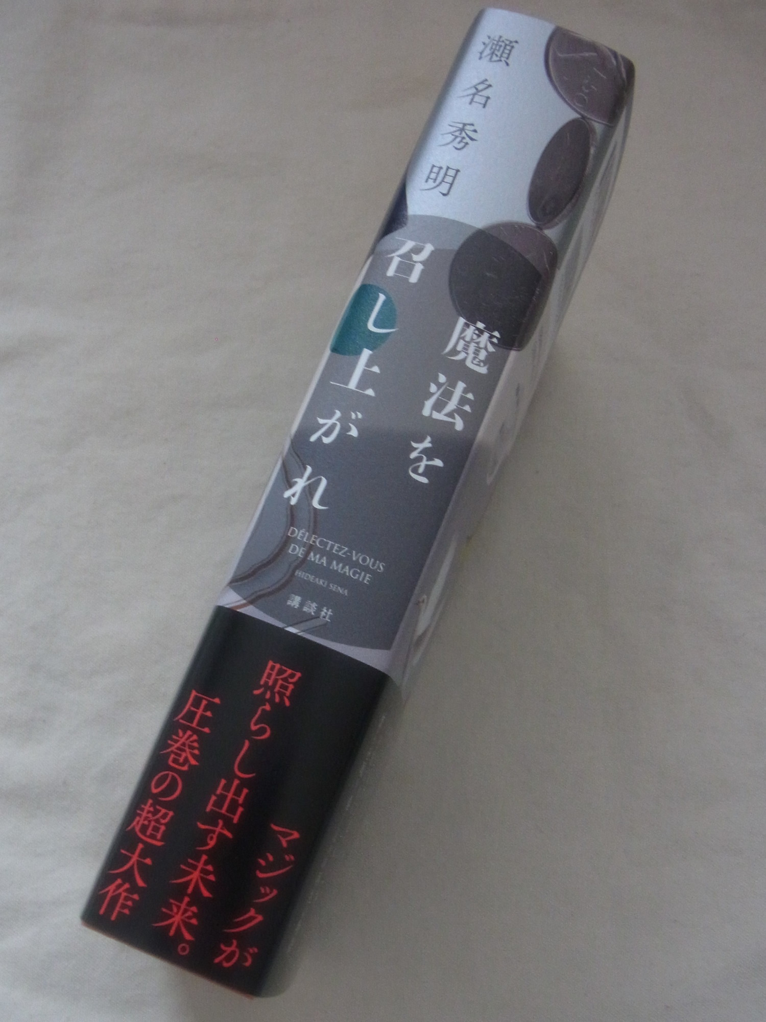 f:id:koikesan:20190617132952j:plain f:id:koikesan:20190617132952j:plain