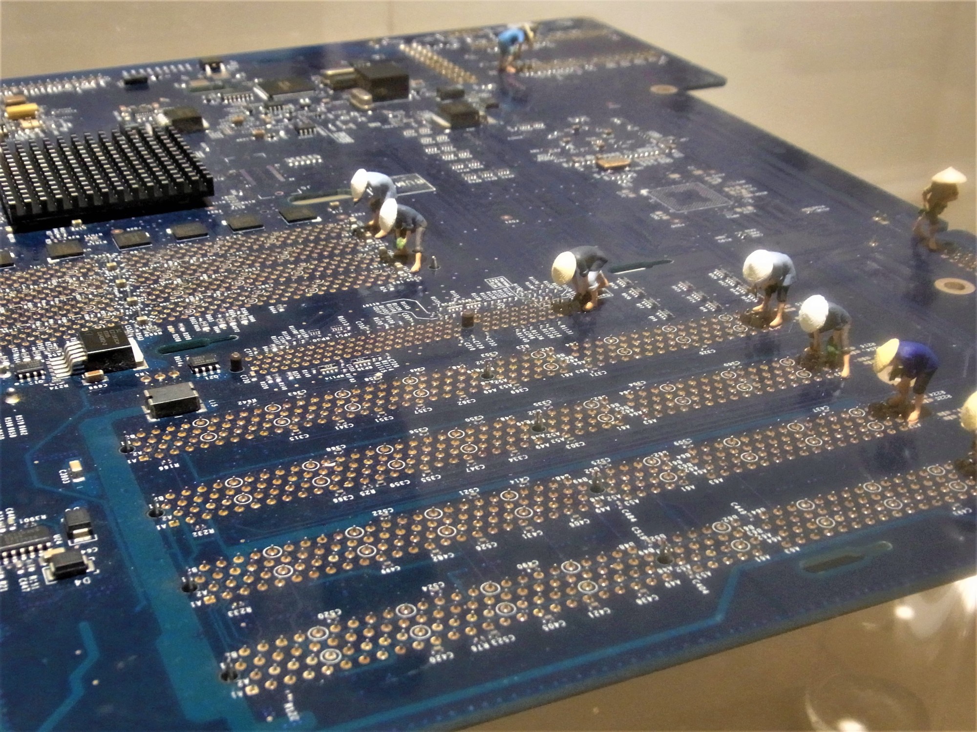 f:id:koikesan:20190730163944j:plain