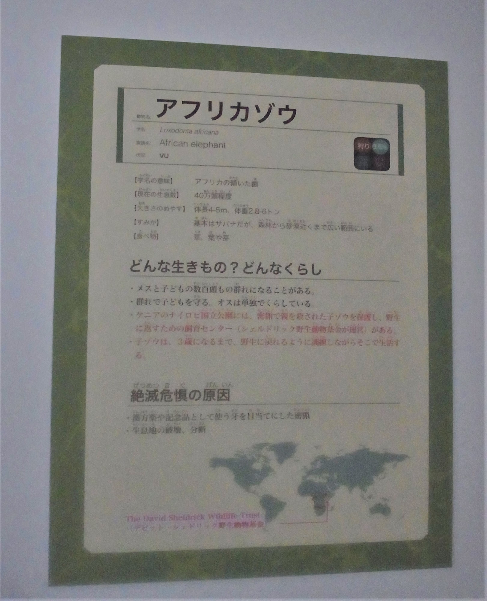 f:id:koikesan:20190903110014j:plain