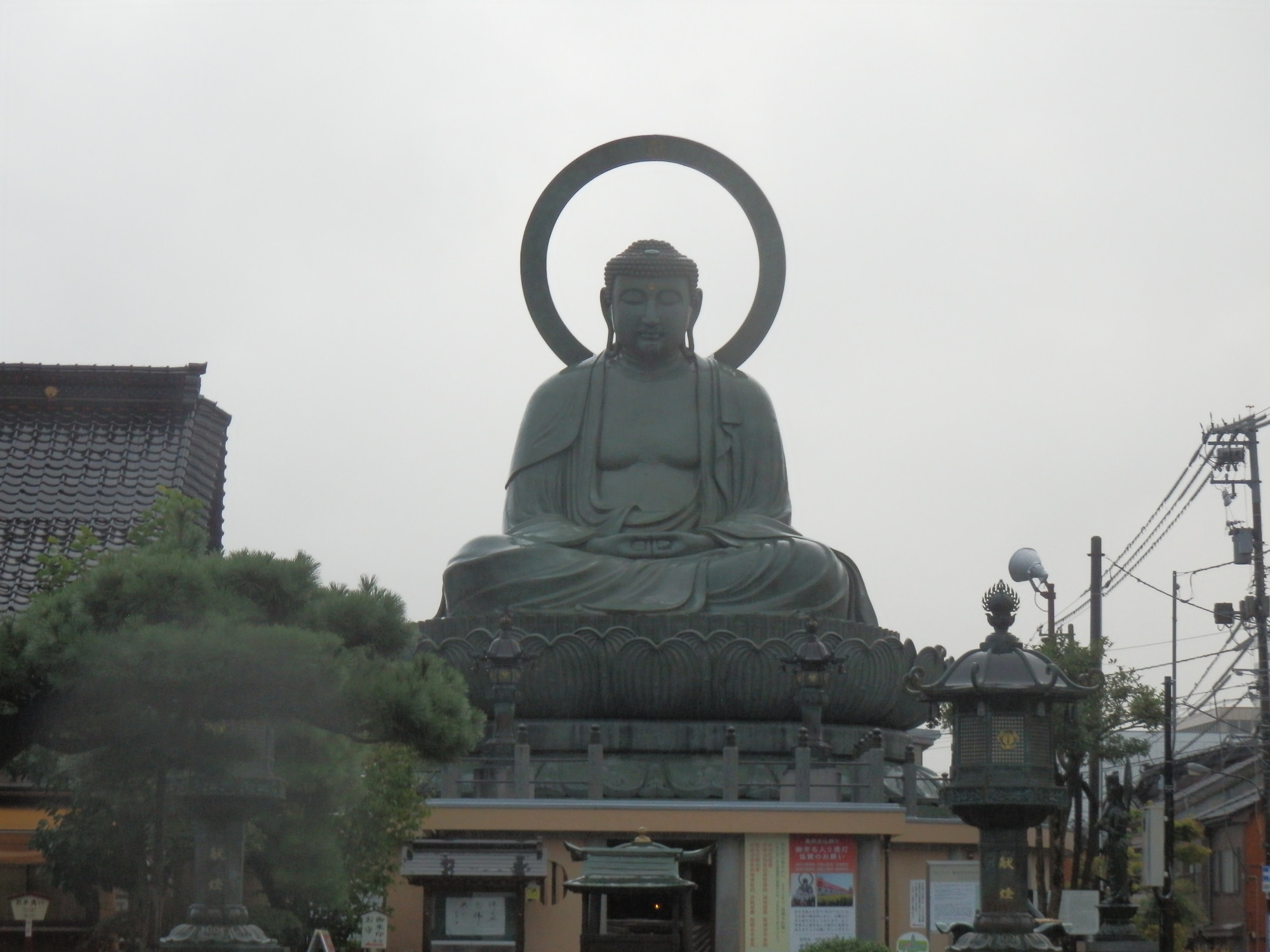 f:id:koikesan:20191006062931j:plain