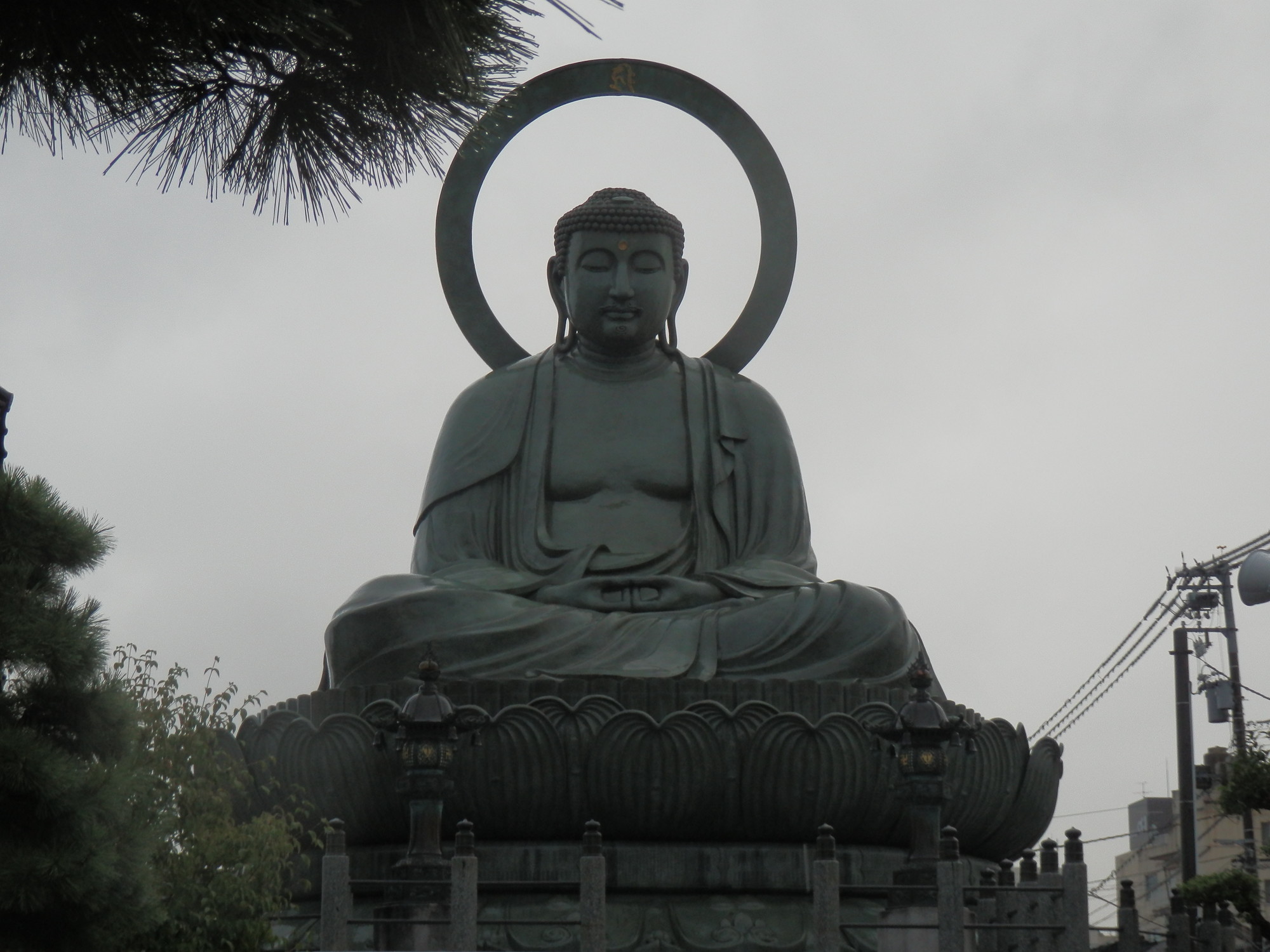 f:id:koikesan:20191006063059j:plain