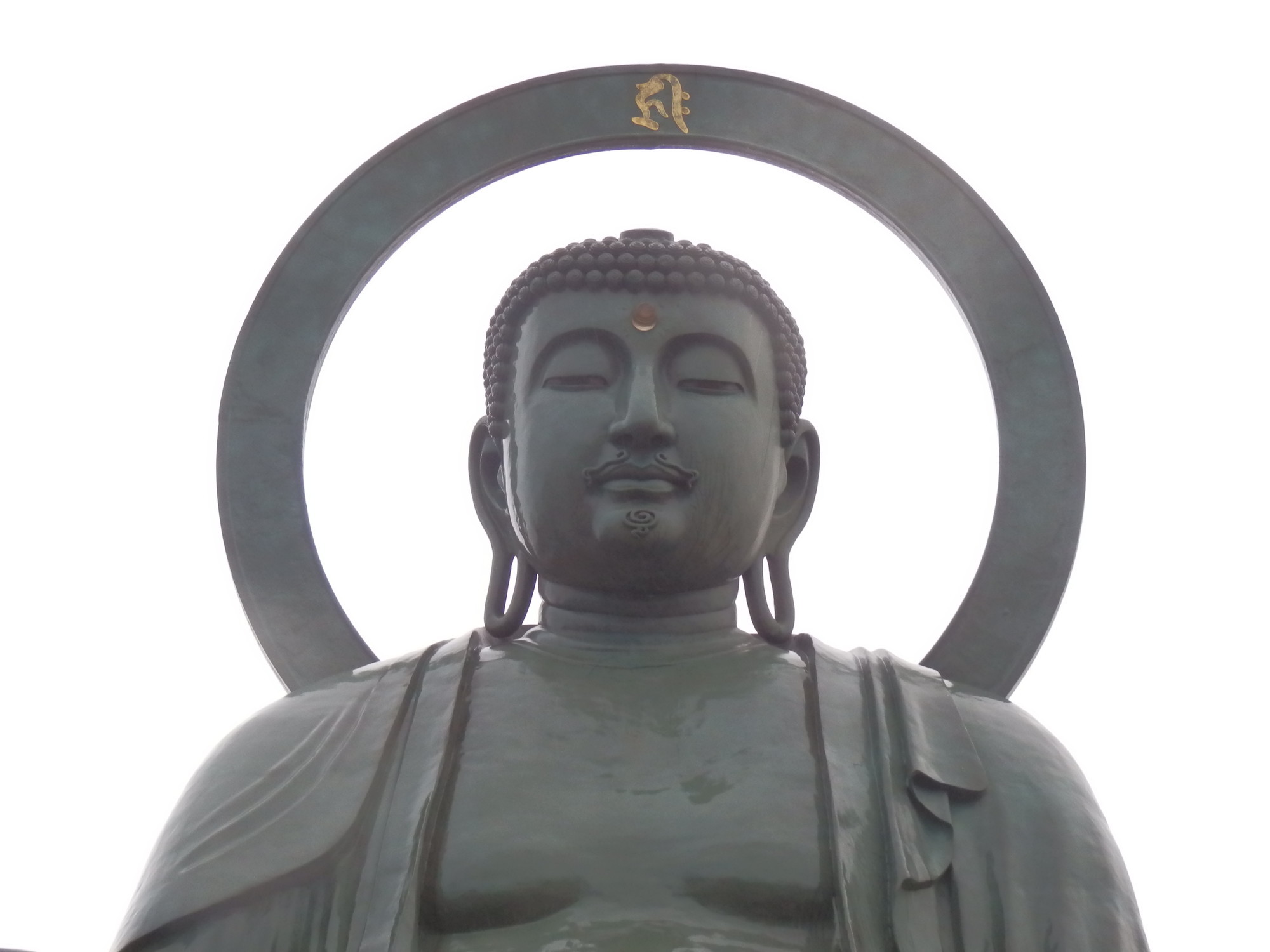 f:id:koikesan:20191006063157j:plain