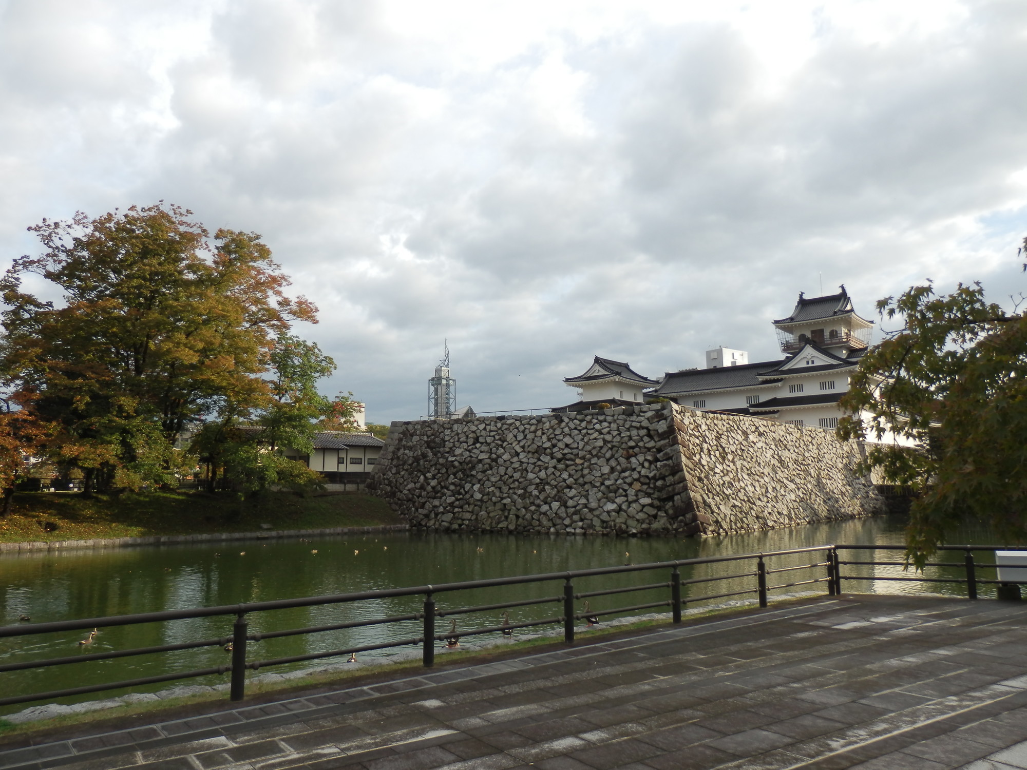 f:id:koikesan:20191026073216j:plain