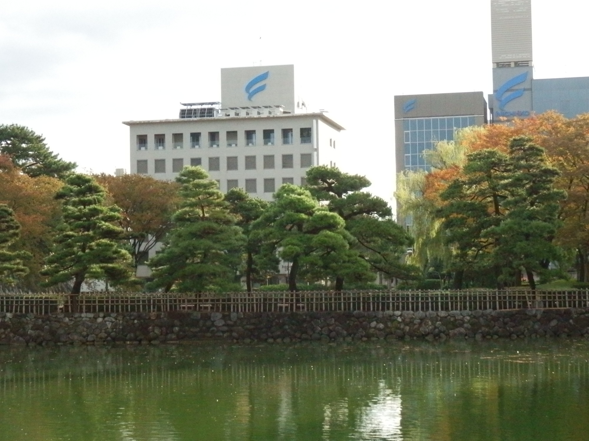 f:id:koikesan:20191026073315j:plain