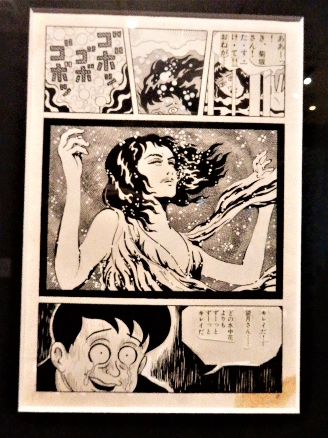 f:id:koikesan:20191026100557j:plain