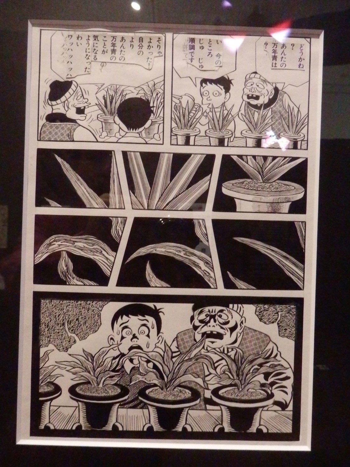 f:id:koikesan:20191026100731j:plain