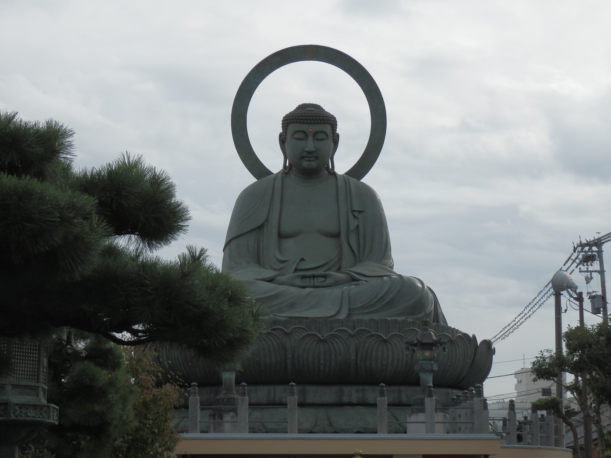 f:id:koikesan:20191026131525j:plain f:id:koikesan:20191026131525j:plain