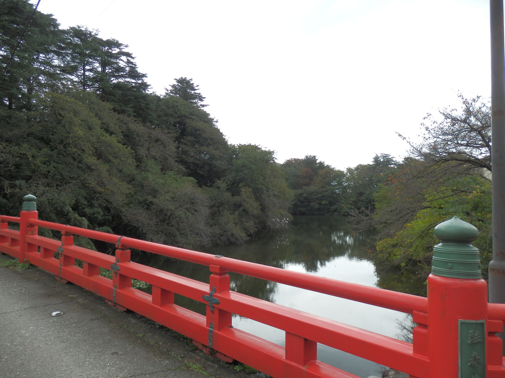 f:id:koikesan:20191026133502j:plain f:id:koikesan:20191026133502j:plain