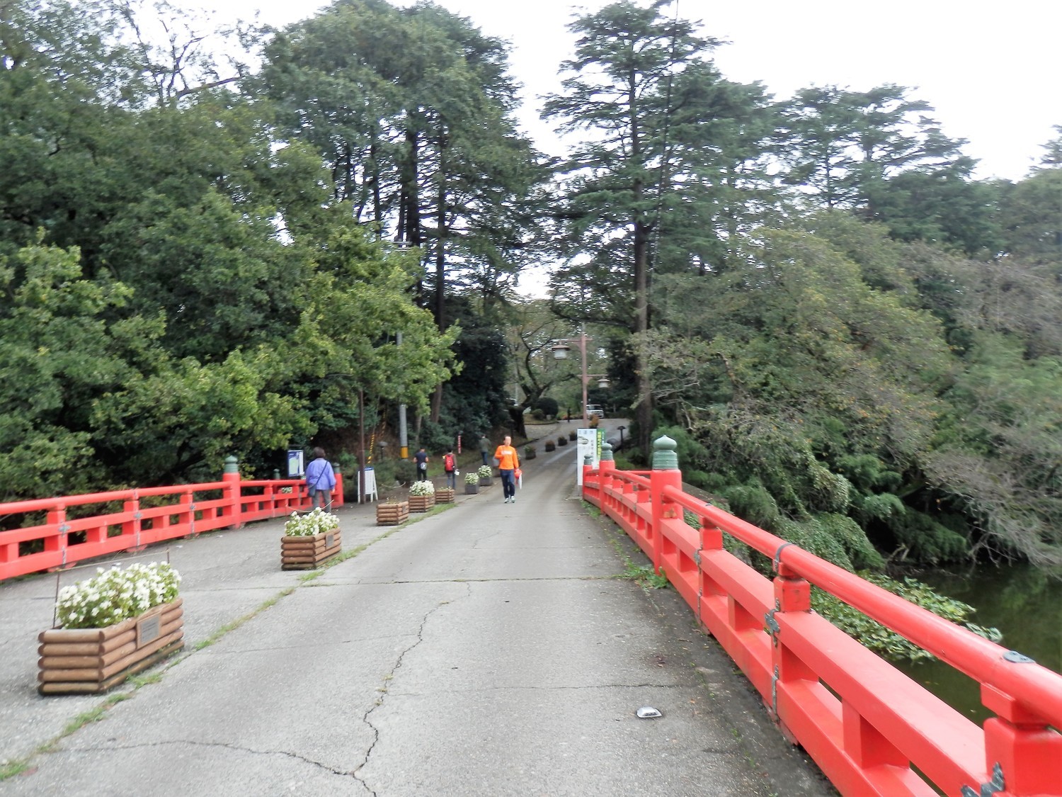 f:id:koikesan:20191026133552j:plain