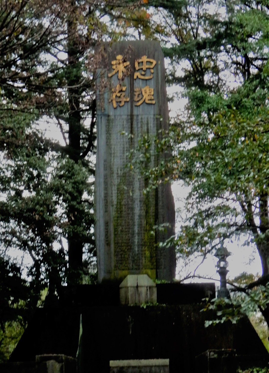 f:id:koikesan:20191026133843j:plain