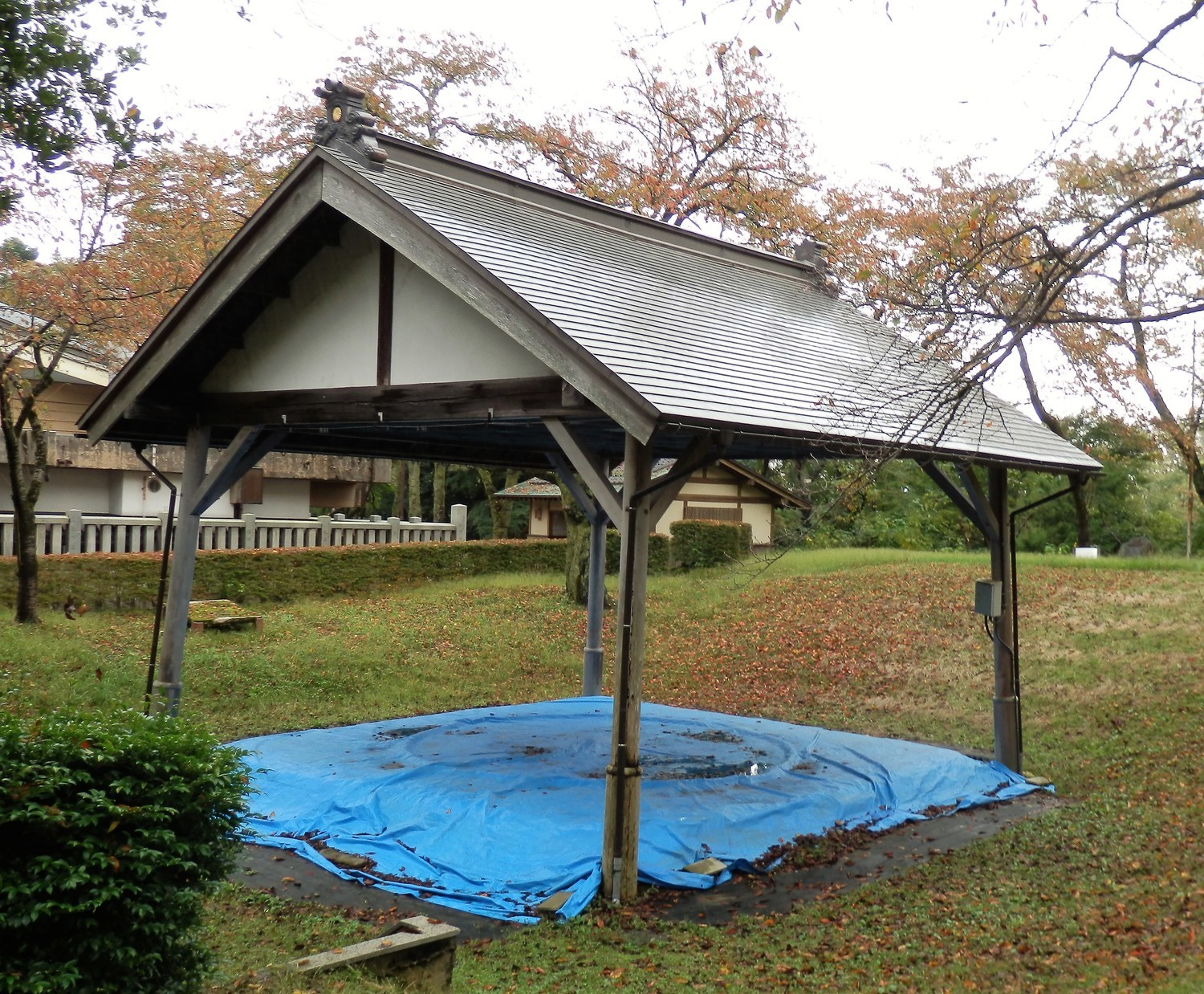 f:id:koikesan:20191026134431j:plain