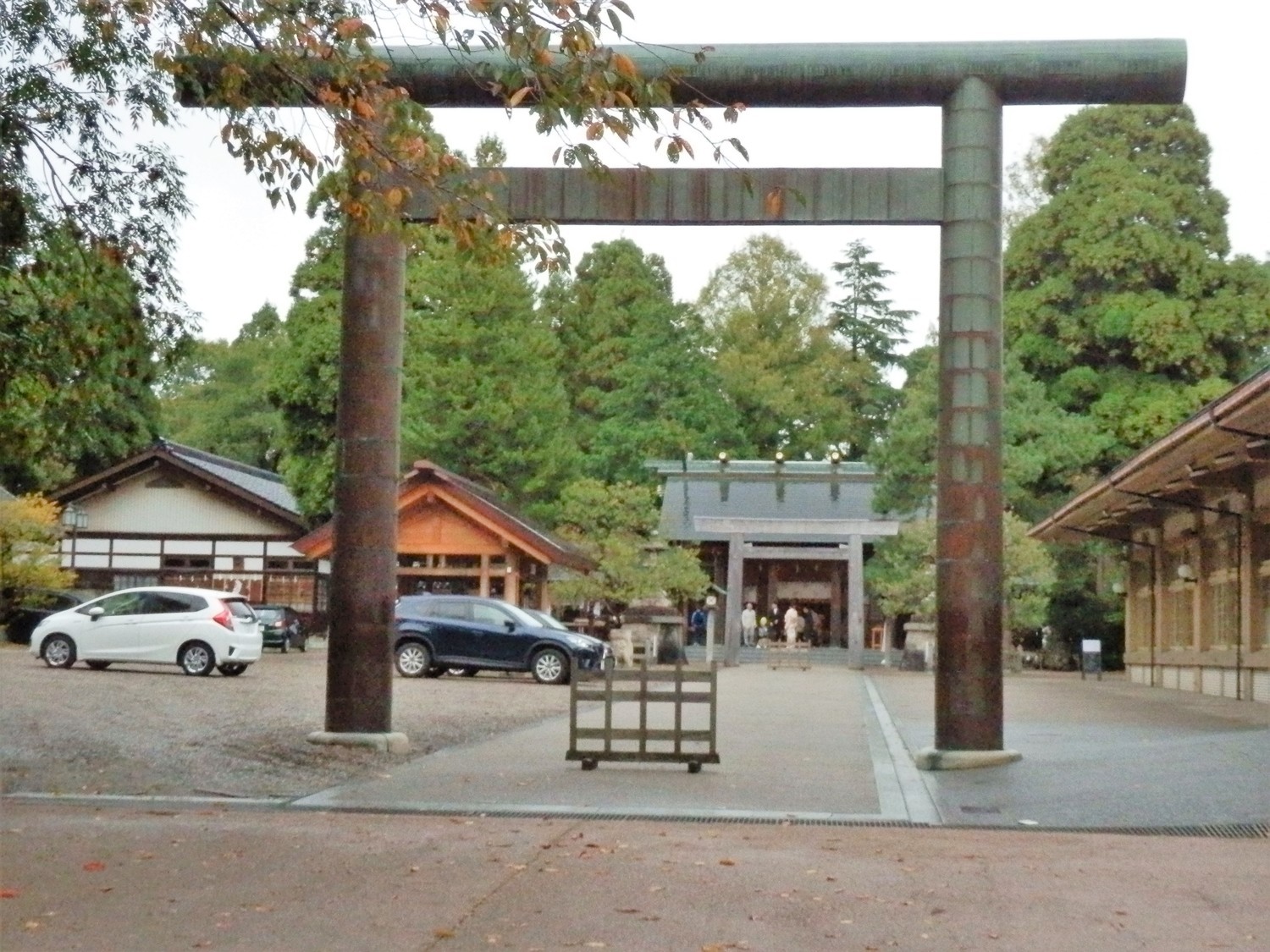 f:id:koikesan:20191026135216j:plain