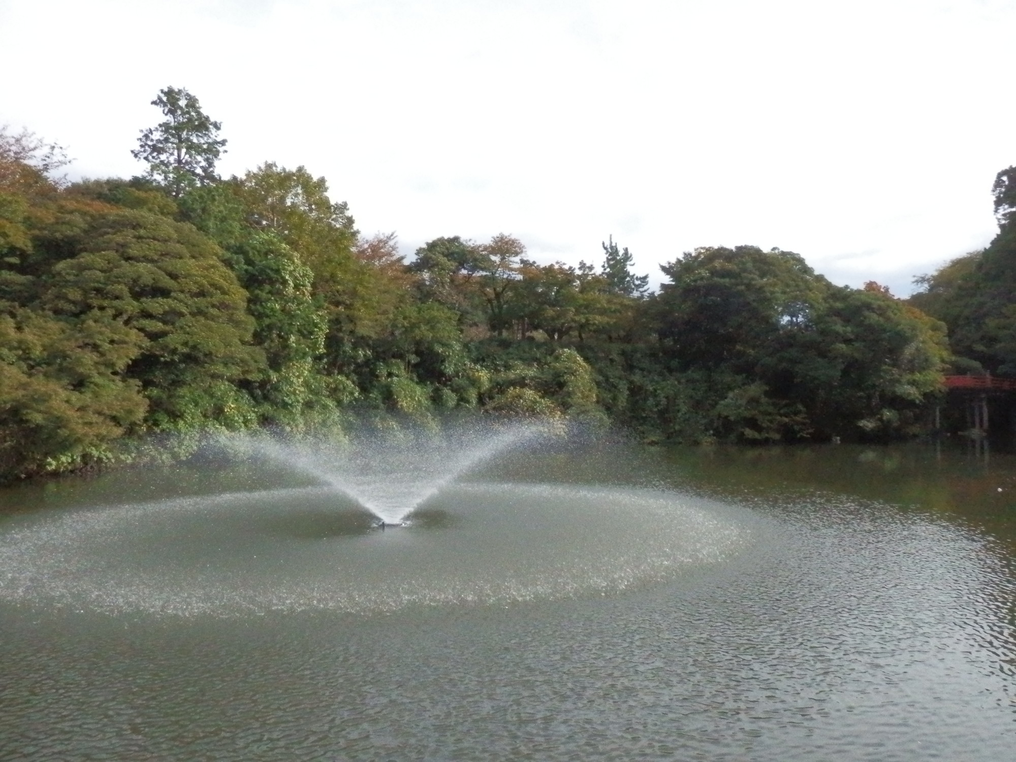 f:id:koikesan:20191026141743j:plain f:id:koikesan:20191026141743j:plain