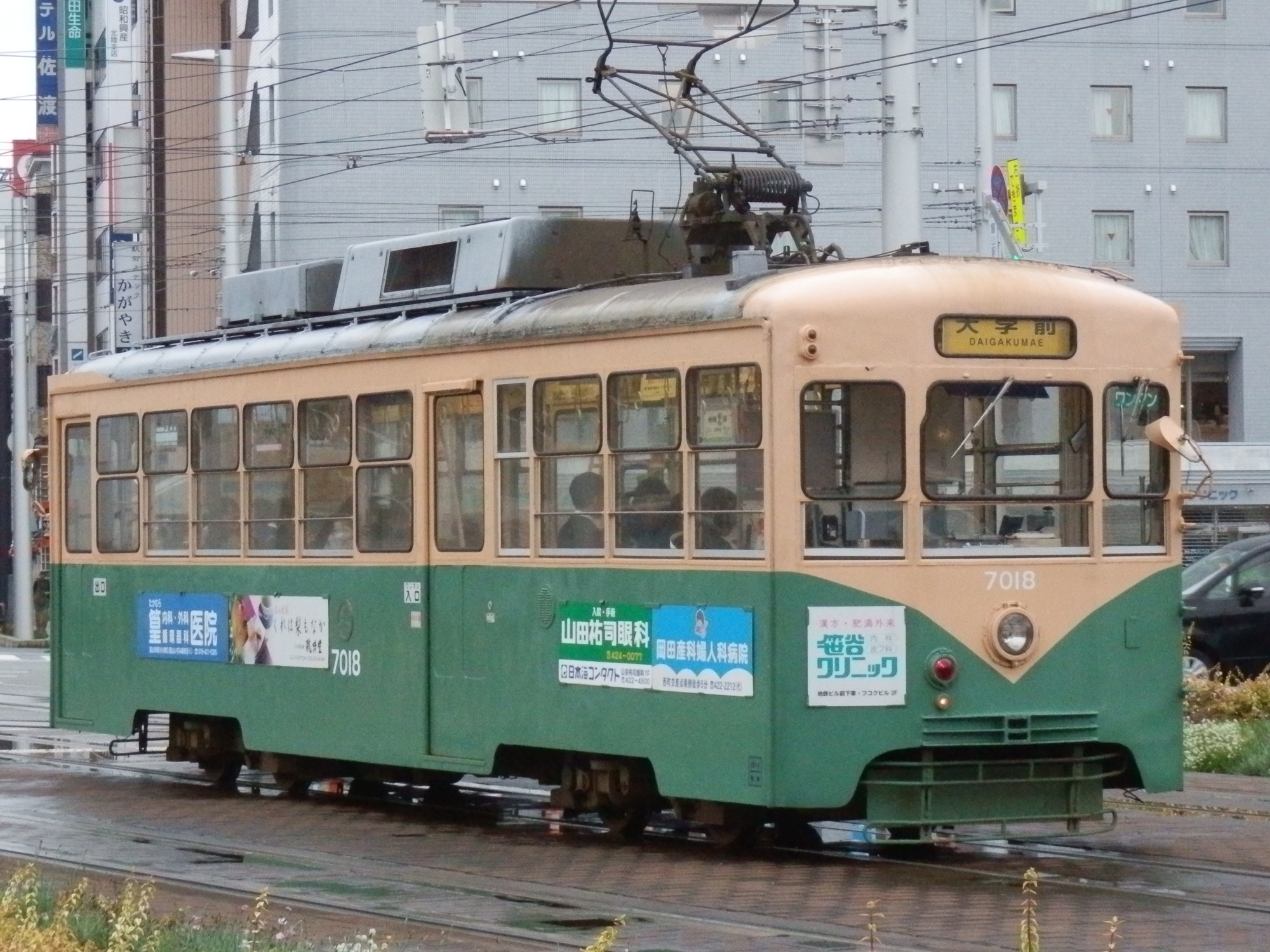 f:id:koikesan:20191027073503j:plain