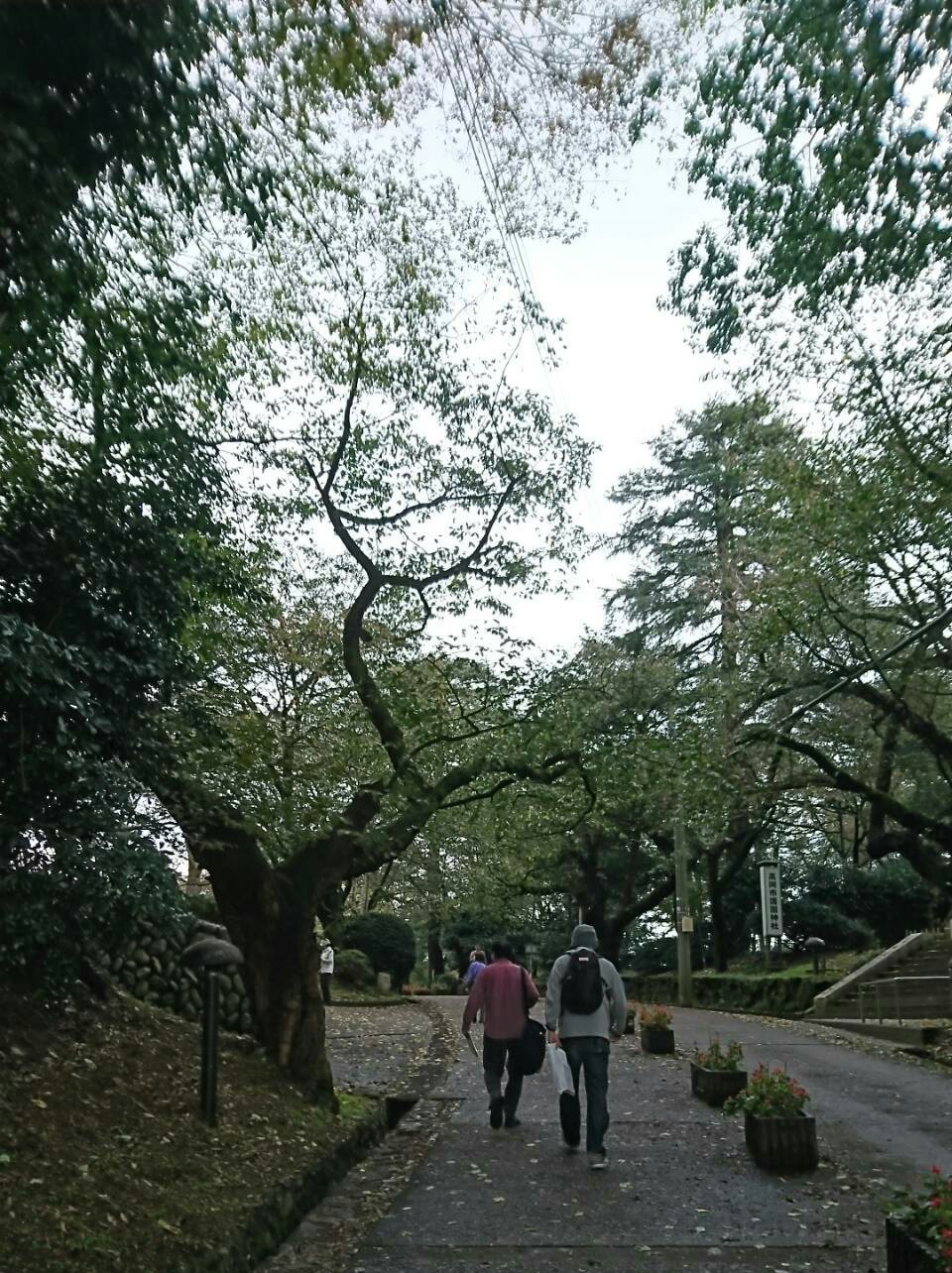 f:id:koikesan:20191101202200j:plain f:id:koikesan:20191101202200j:plain