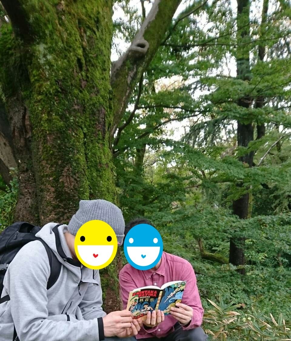 f:id:koikesan:20191101202243j:plain f:id:koikesan:20191101202243j:plain