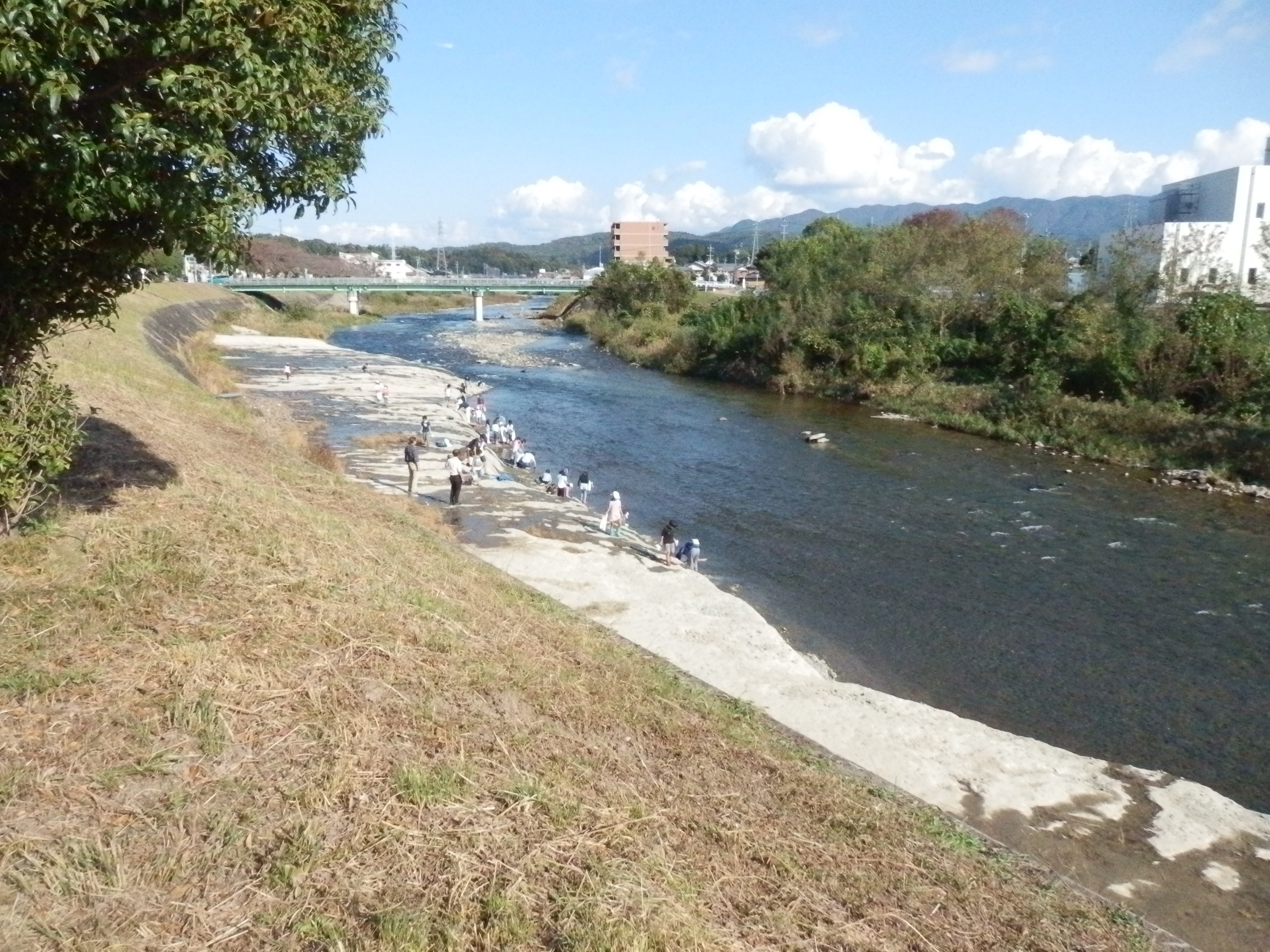 f:id:koikesan:20191109132905j:plain