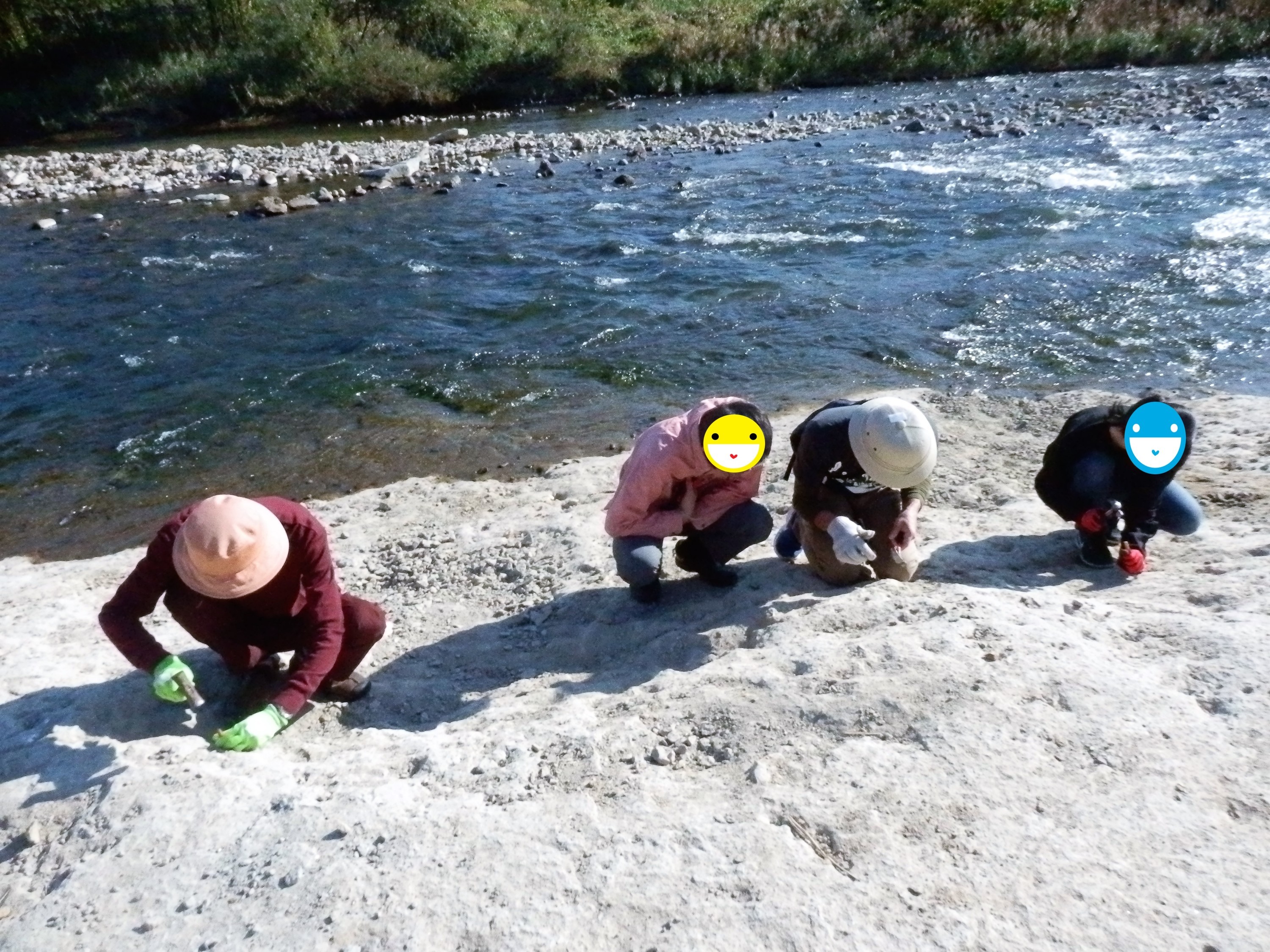 f:id:koikesan:20191109134655j:plain