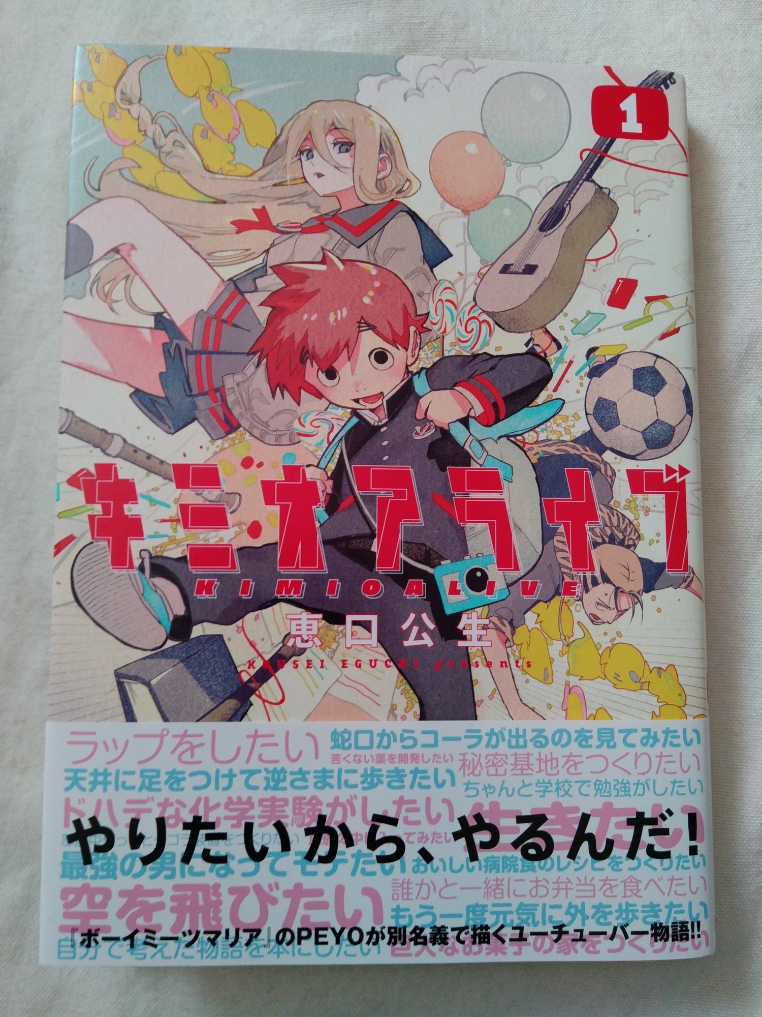 f:id:koikesan:20200417074631j:plain